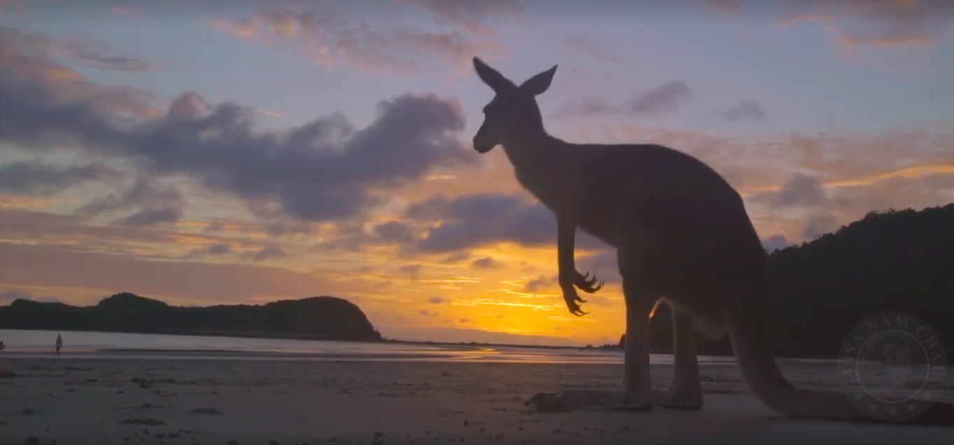 Du lịch thiên nhiên Úc