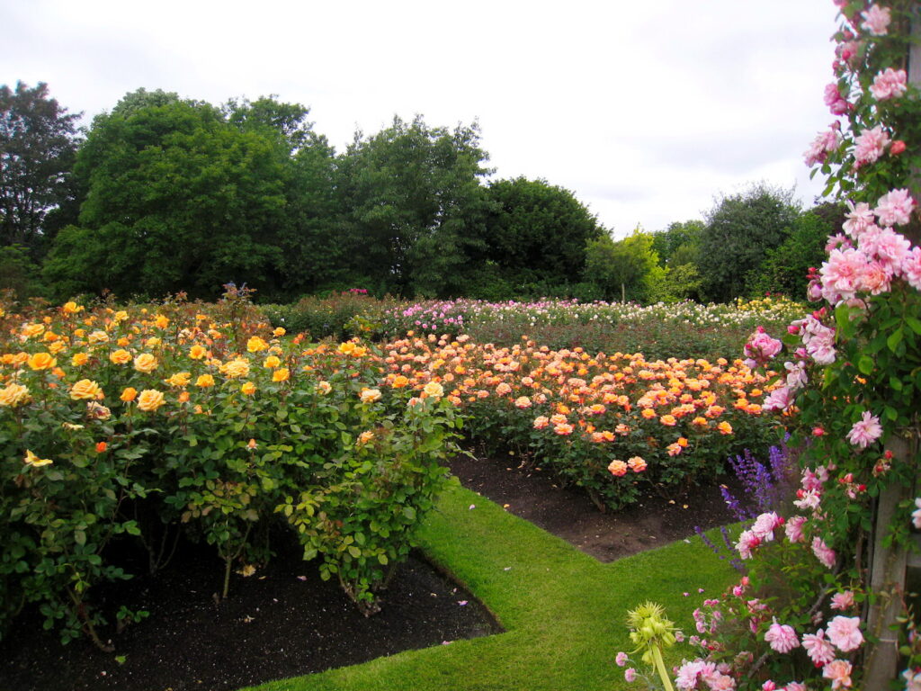 nhung-dia-diem-khong-nen-bo-lo-khi-den-london (1)