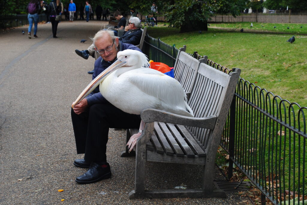 nhung-dia-diem-khong-nen-bo-lo-khi-den-london (3)