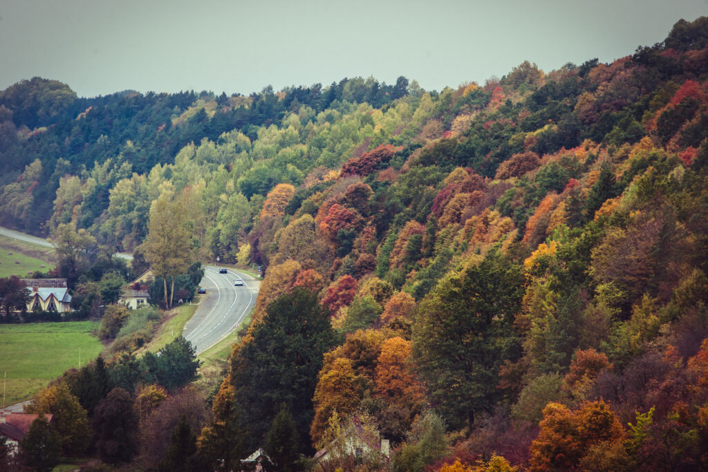 Visa Latvia Lithuania1