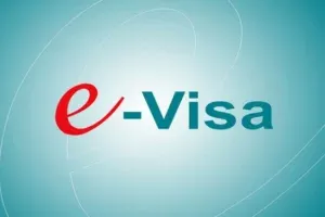 e visa viet nam visanamchau