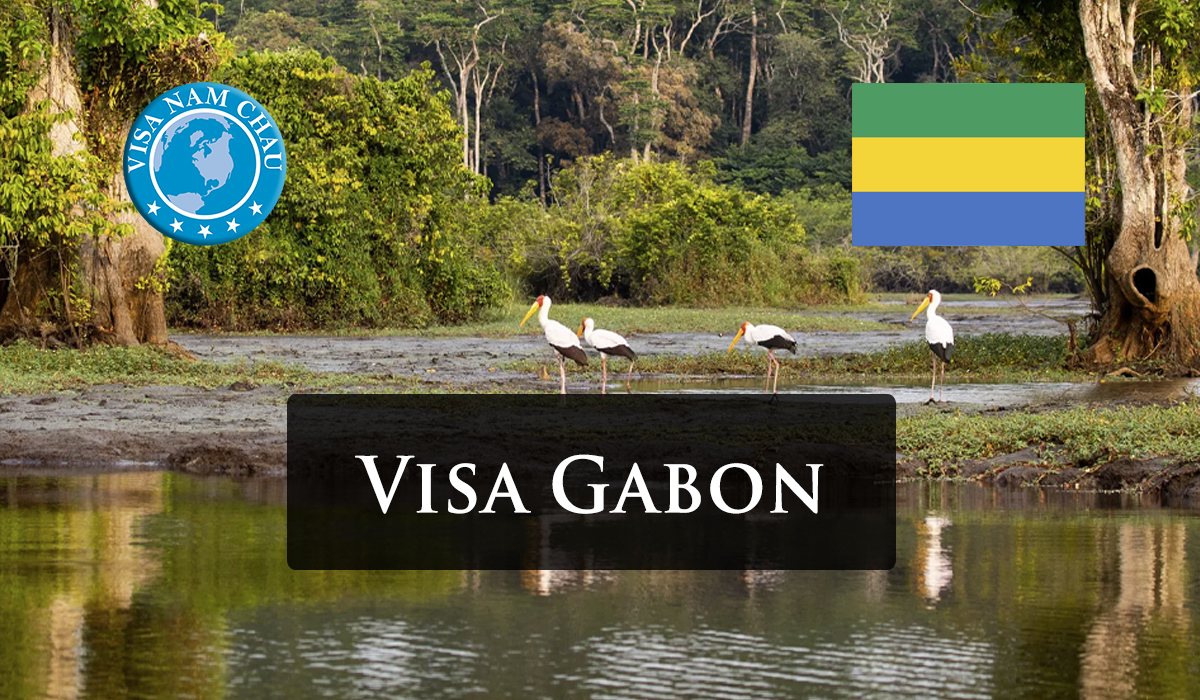 Dịch vụ làm visa Gabon trọn gói 2024